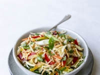Rainbow Fried Noodle Salad