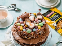 Easter Nest Chocolate Cake